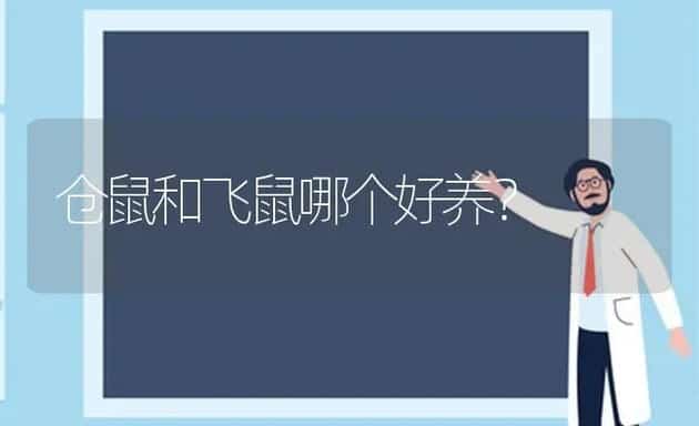 鳄鱼龟的苗多少钱一个?卖多少钱一斤？ | 动物养殖问答