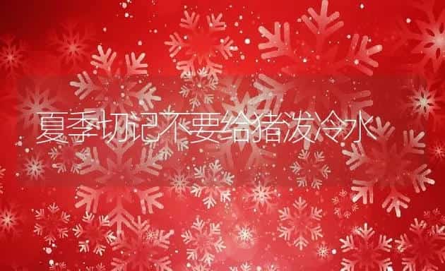 夏季切记不要给猪泼冷水 | 动物养殖学堂