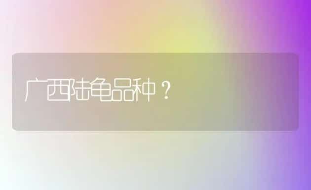 广西陆龟品种？ | 动物养殖问答