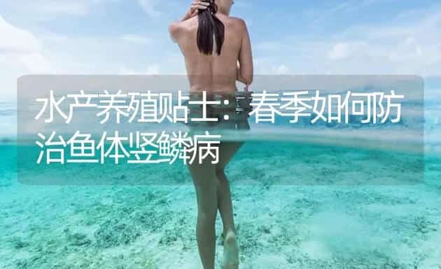 水产养殖贴士：春季如何防治鱼体竖鳞病 | 海水养殖技术