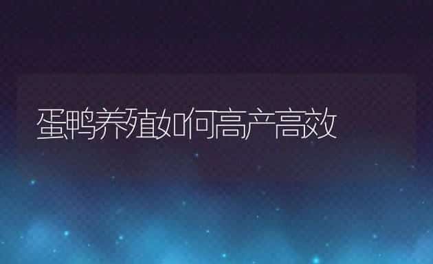 蛋鸭养殖如何高产高效 | 动物养殖饲料
