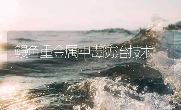 鳗鱼重金属中毒防治技术 | 海水养殖技术