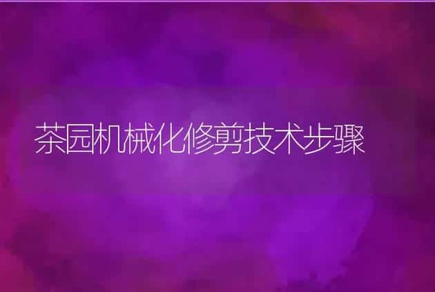 茶园机械化修剪技术步骤 | 养殖