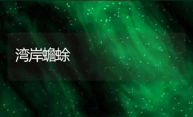 湾岸蟾蜍 | 水产养殖知识