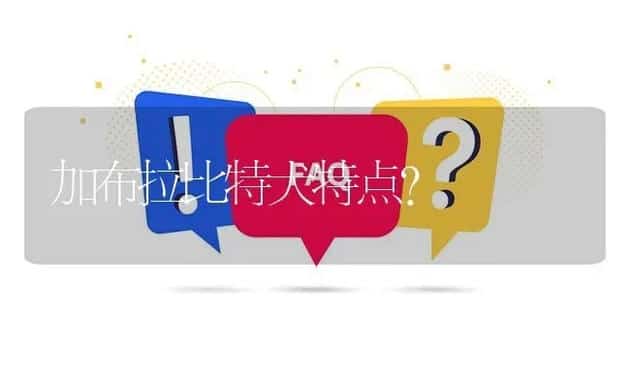 加布拉比特犬特点? | 动物养殖问答