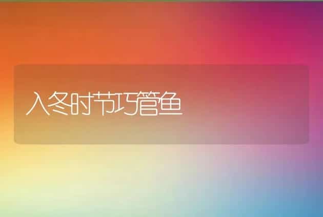 入冬时节巧管鱼 | 动物养殖