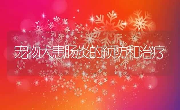 宠物犬患肠炎的预防和治疗 | 宠物趣闻