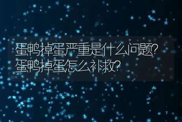 蛋鸭掉蛋严重是什么问题？蛋鸭掉蛋怎么补救？ | 兽医知识大全