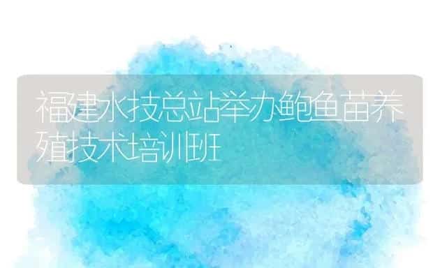 福建水技总站举办鲍鱼苗养殖技术培训班 | 动物养殖饲料