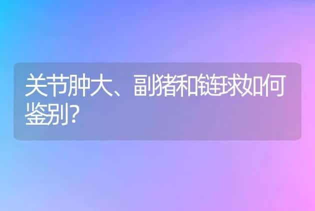 关节肿大、副猪和链球如何鉴别？ | 兽医知识大全