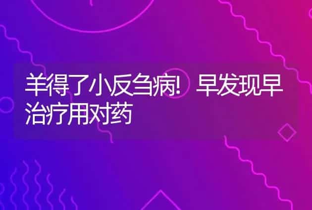 羊得了小反刍病!早发现早治疗用对药 | 家畜养殖