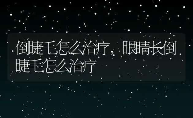 小仓鼠能活多久,仓鼠怎么养活的更长久 | 宠物百科知识