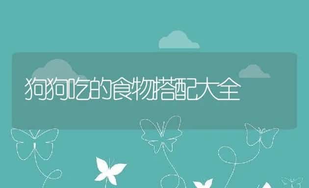 狗狗吃的食物搭配大全 | 宠物猫