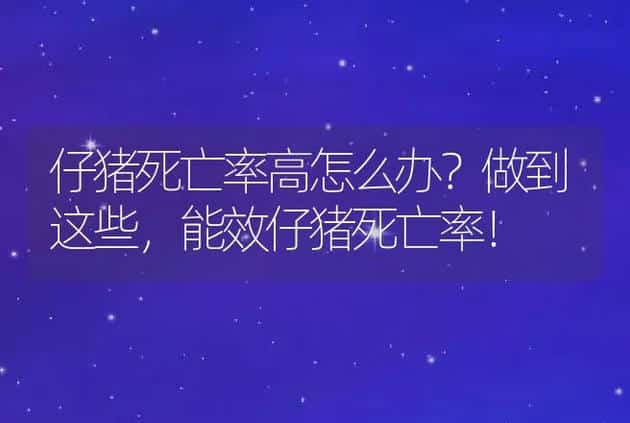 仔猪死亡率高怎么办？做到这些，能效仔猪死亡率！ | 兽医知识大全