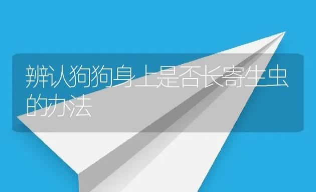 辨认狗狗身上是否长寄生虫的办法 | 宠物猫