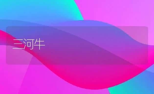 三河牛 | 动物养殖学堂