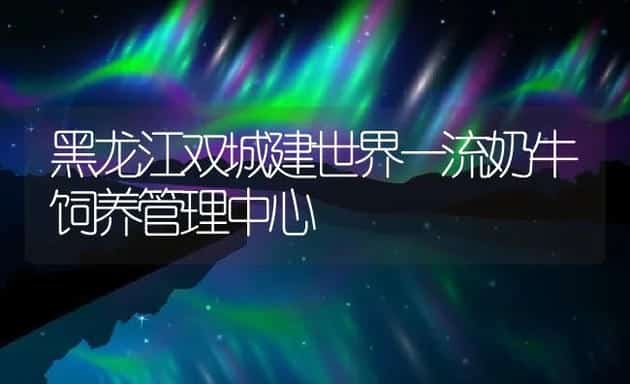 黑龙江双城建世界一流奶牛饲养管理中心 | 动物养殖饲料