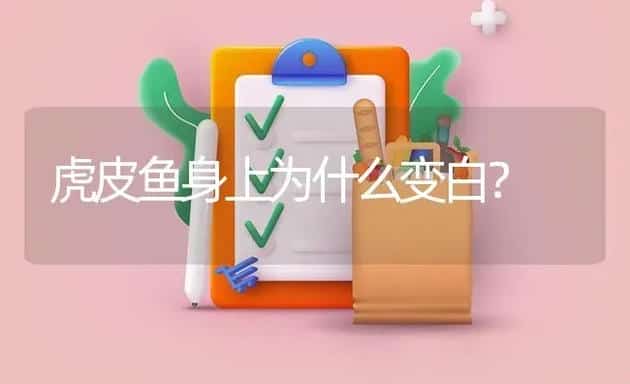 虎皮鱼身上为什么变白？ | 鱼类宠物饲养