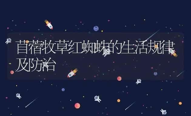 苜蓿牧草红蜘蛛的生活规律及防治 | 动物养殖饲料