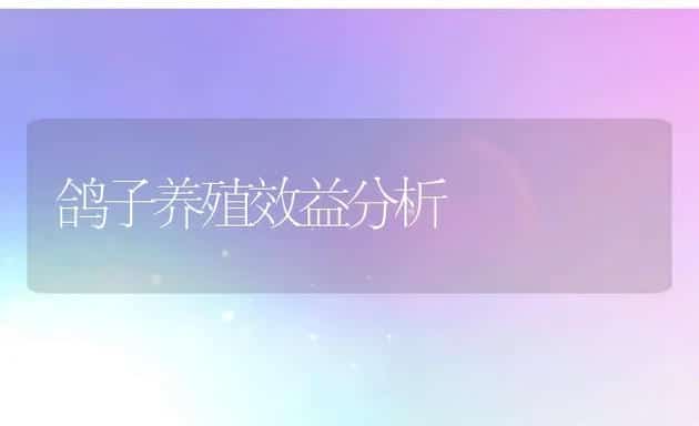 鸽子养殖效益分析 | 动物养殖学堂