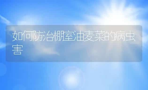 如何防治棚室油麦菜的病虫害 | 水产养殖知识