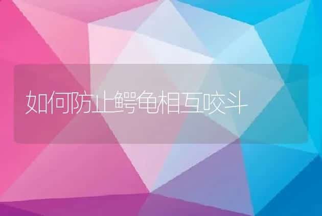 鸽舍内湿度对鸽群的影响 | 家禽养殖