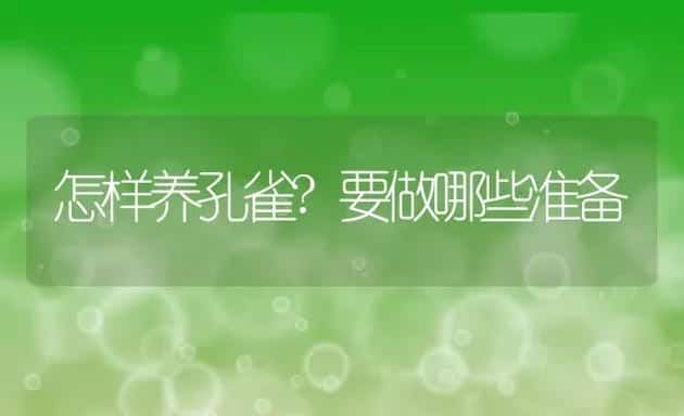 怎样养孔雀?要做哪些准备 | 动物养殖百科