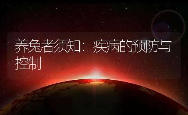 养兔者须知：疾病的预防与控制 | 动物养殖学堂