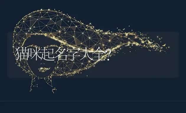 长毛橘猫怎么养？ | 动物养殖问答