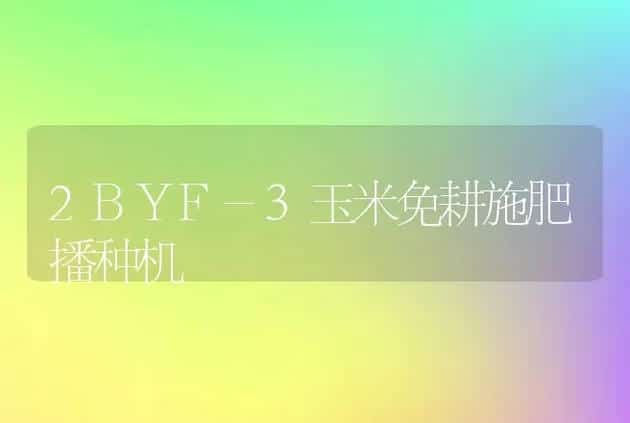 2BYF-3玉米免耕施肥播种机 | 养殖