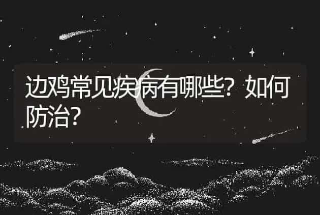 边鸡常见疾病有哪些?如何防治? | 兽医知识大全