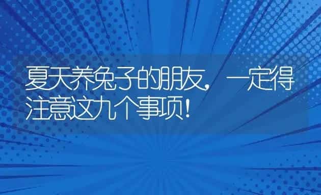 夏天养兔子的朋友,一定得注意这九个事项! | 动物养殖百科