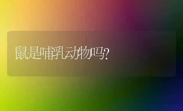 鼠是哺乳动物吗? | 动物养殖问答