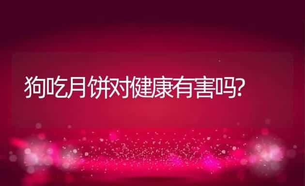 狗吃月饼对健康有害吗? | 宠物猫