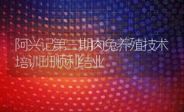 阿兴记第三期肉兔养殖技术培训班顺利结业 | 动物养殖学堂