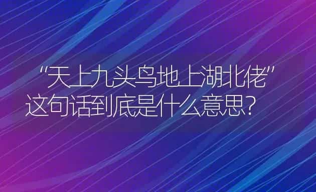 “天上九头鸟地上湖北佬”这句话到底是什么意思？ | 鱼类宠物饲养