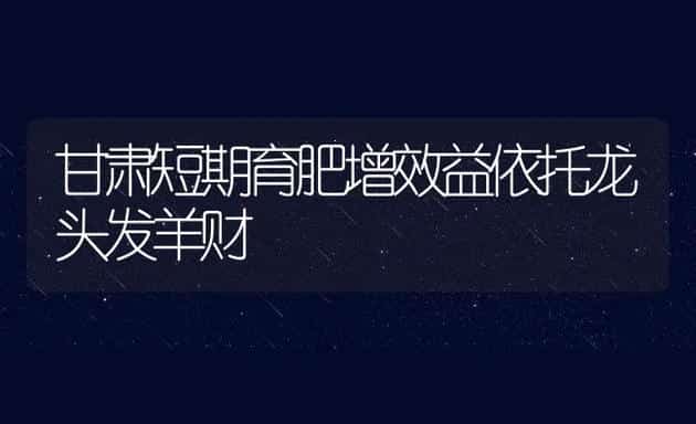 甘肃短期育肥增效益依托龙头发羊财 | 动物养殖饲料