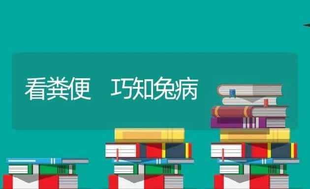 治疗水肿病有什么好方法？ | 动物养殖学堂