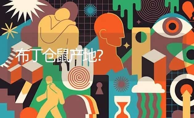 布丁仓鼠产地？ | 动物养殖问答