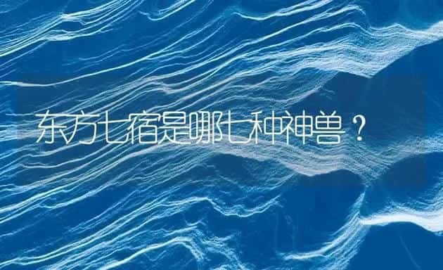 东方七宿是哪七种神兽？ | 鱼类宠物饲养