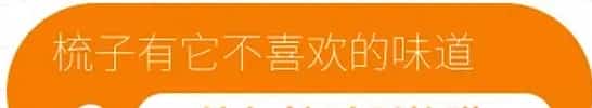 5种方法告诉你，怎么让猫咪爱上梳毛！ | 宠物猫美容护理