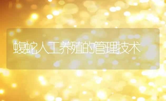 蝮蛇人工养殖的管理技术 | 水产养殖知识