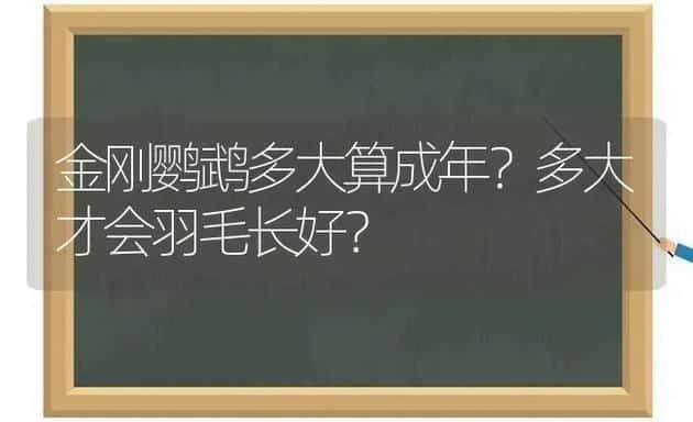 可卡犬的寿命普遍在十一、二年左右？ | 动物养殖问答
