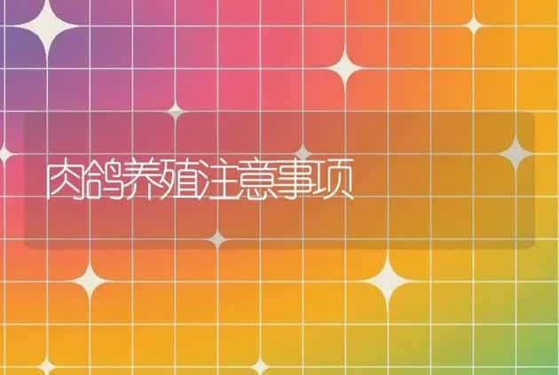 肉鸽养殖注意事项 | 家禽养殖