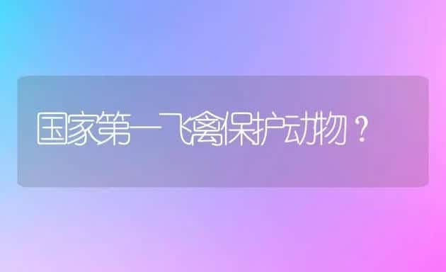 国家第一飞禽保护动物？ | 动物养殖问答