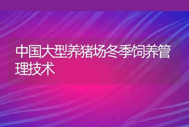 中国大型养猪场冬季饲养管理技术 | 家畜养殖