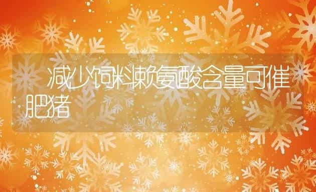 减少饲料赖氨酸含量可催肥猪 | 动物养殖学堂