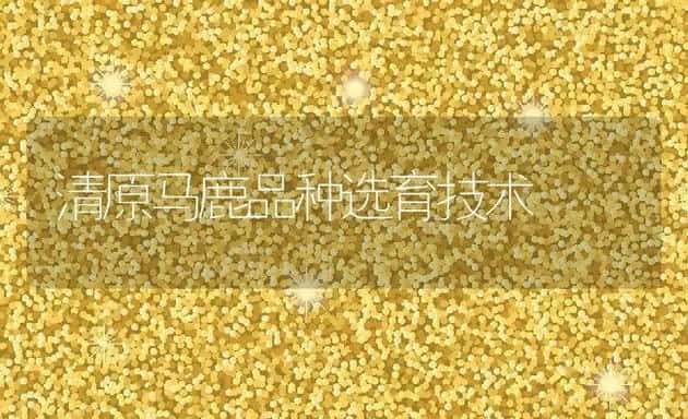 秋冬之际谨防猪流感 | 动物养殖学堂