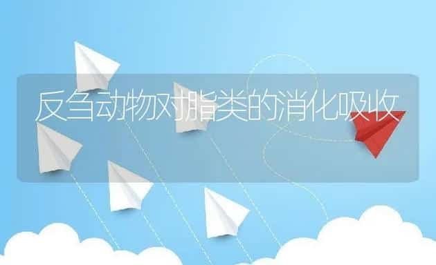 细说猪场病原传播途径 | 动物养殖学堂