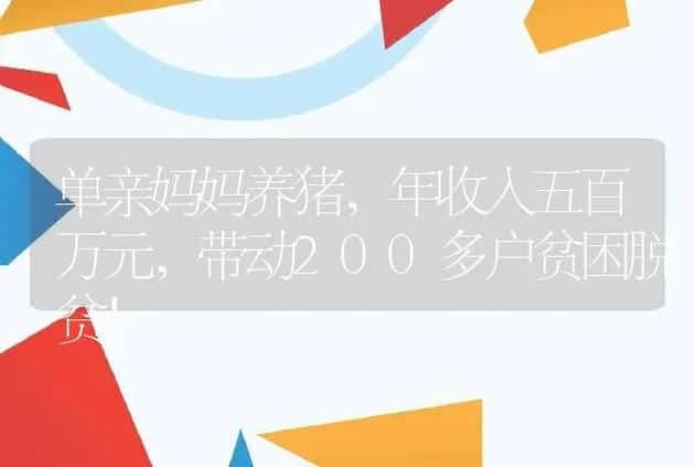 单亲妈妈养猪，年收入五百万元，带动200多户贫困脱贫！ | 养殖致富